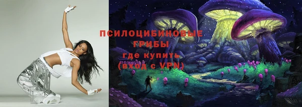 не бодяженный Арсеньев