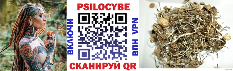 Псилоцибиновые грибы мицелий  Омутнинск 